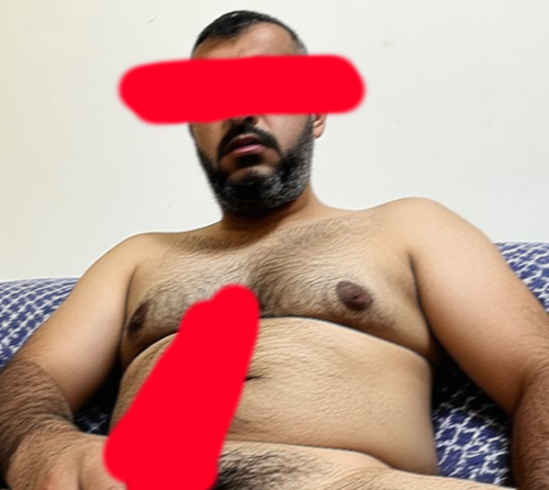 Cairo Bull
